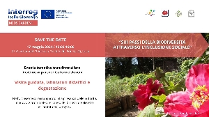 SAVE THE DATE! Inauguration of the new Mediterranean Garden